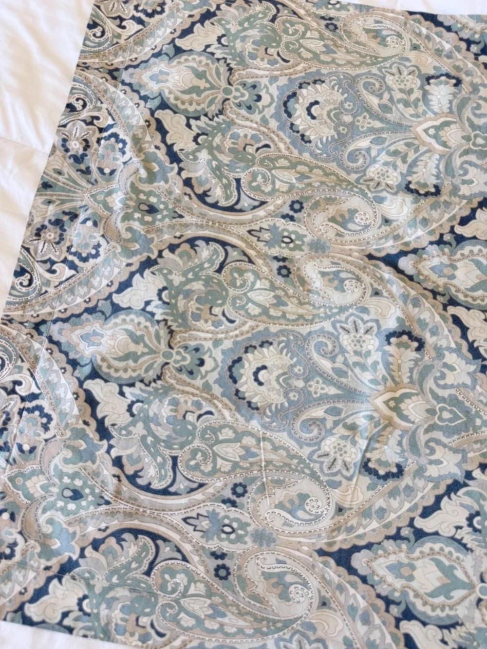 Pottery Barn Mackenna Paisley Euro Sham